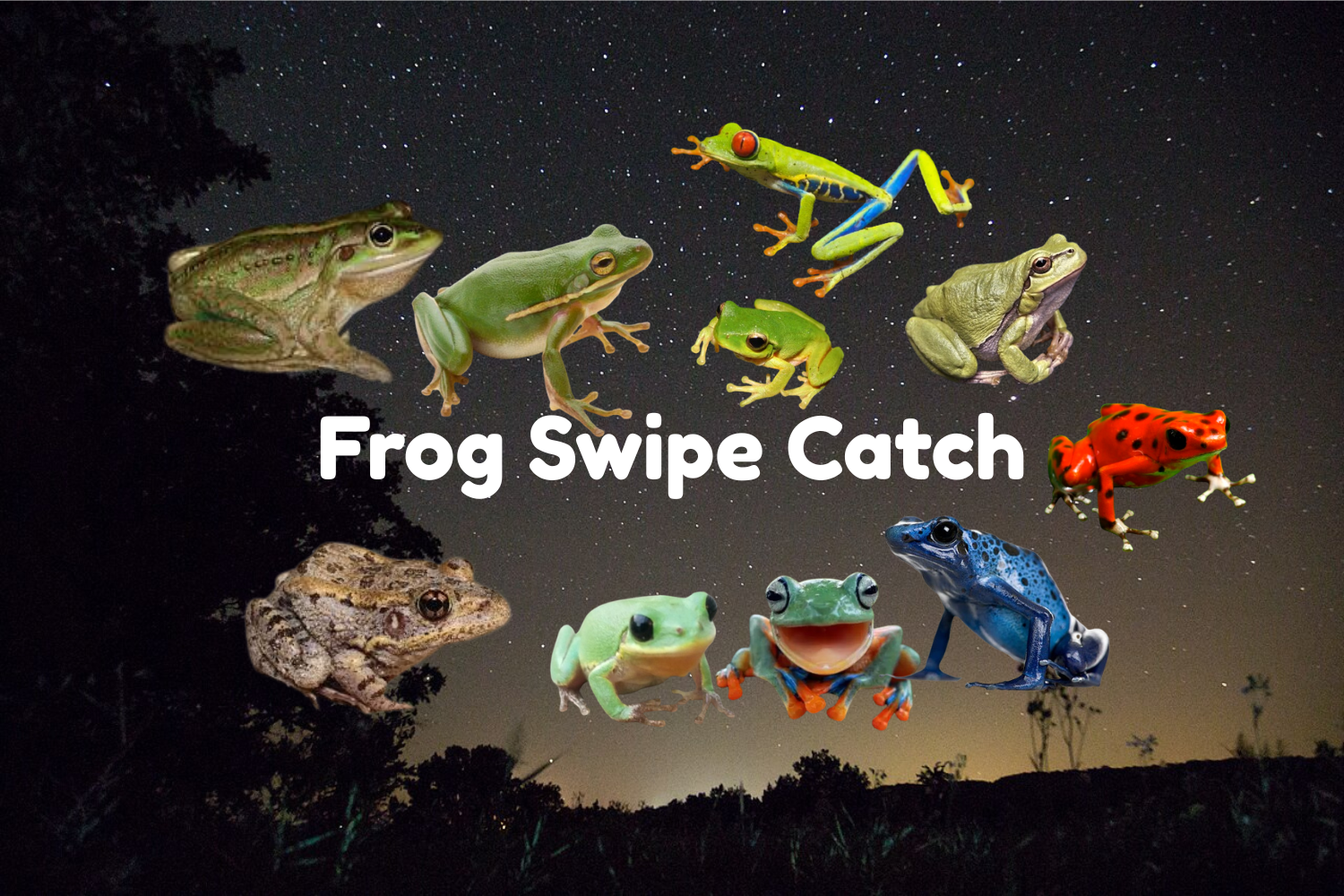 Frog Swipe Catch